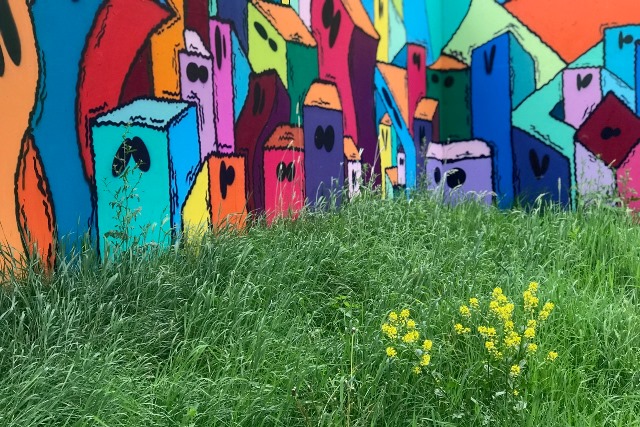 Frauezmorge_4.7.2018